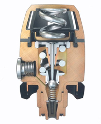 Poseidon Xtream Schnitt
